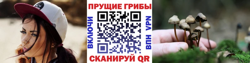 Псилоцибиновые грибы Magic Shrooms  Нолинск 